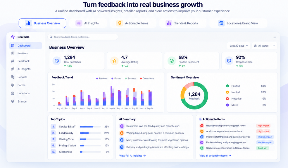 BrioPulse business overview dashboard
